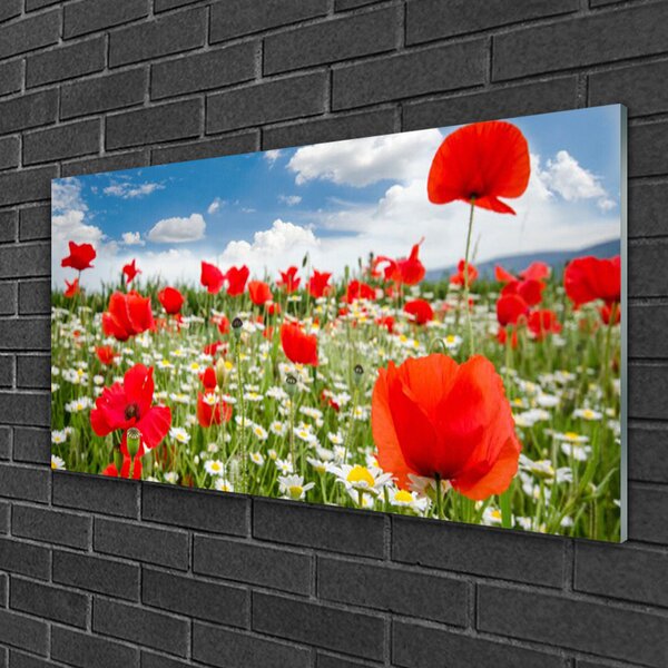 Skleneny obraz Lúka kvety príroda 100x50 cm 2 Prívesky