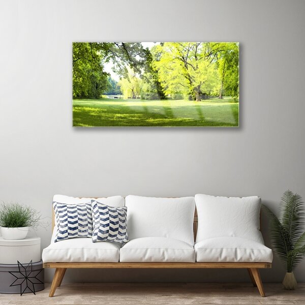 Skleneny obraz Tráva stromy park príroda 100x50 cm 2 Prívesky