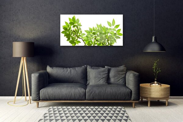 Skleneny obraz Vetva listy rastlina príroda 100x50 cm 2 Prívesky