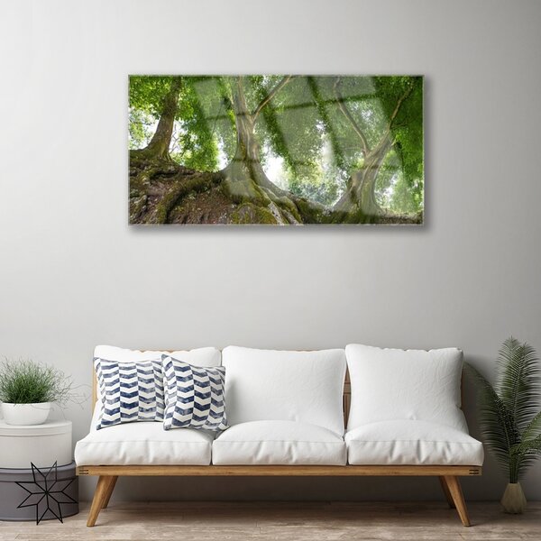 Skleneny obraz Stromy rastlina príroda 100x50 cm 2 Prívesky