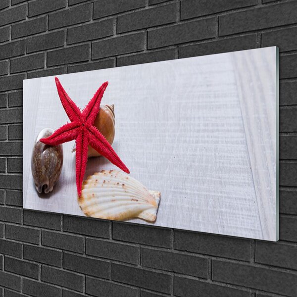 Skleneny obraz Hviezdice mušle umenie 100x50 cm 2 Prívesky