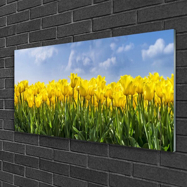 Skleneny obraz Tulipány kvety rastlina 100x50 cm 2 Prívesky