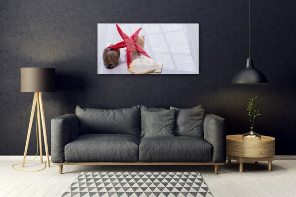 Skleneny obraz Hviezdice mušle umenie 100x50 cm 2 Prívesky