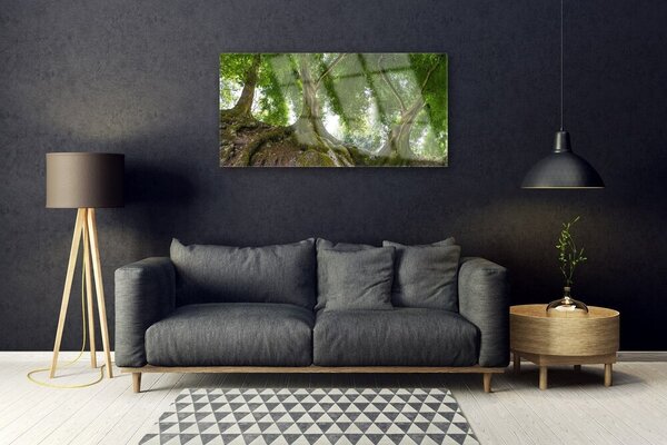 Skleneny obraz Stromy rastlina príroda 100x50 cm 2 Prívesky