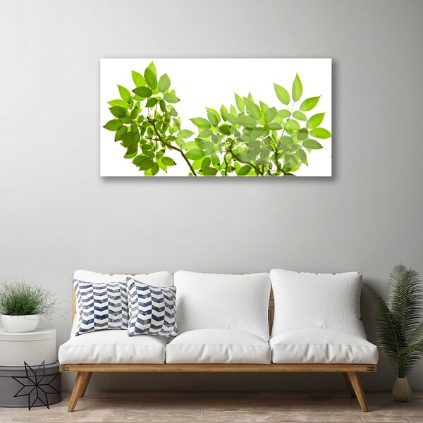 Skleneny obraz Vetva listy rastlina príroda 100x50 cm 2 Prívesky