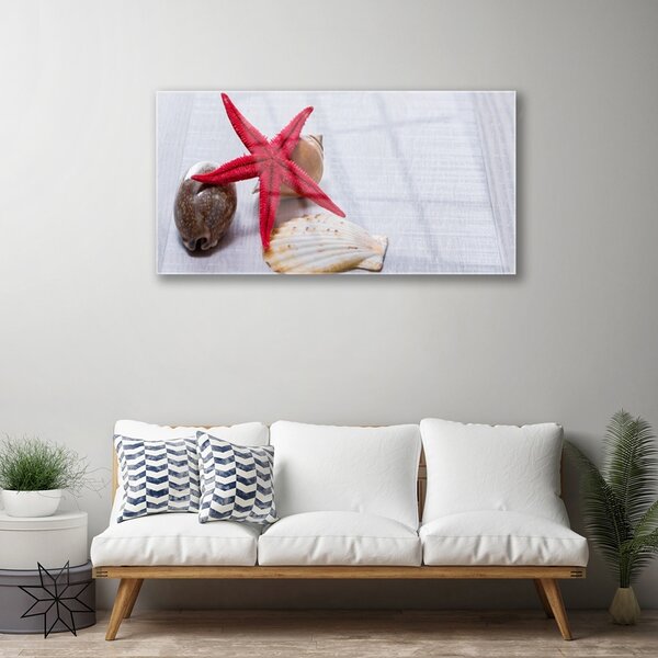 Skleneny obraz Hviezdice mušle umenie 100x50 cm 2 Prívesky