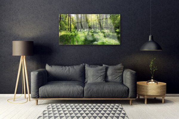 Skleneny obraz Les tráva rastlina príroda 100x50 cm 2 Prívesky