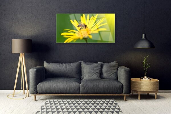 Skleneny obraz Osa kvet rastlina príroda 100x50 cm 2 Prívesky