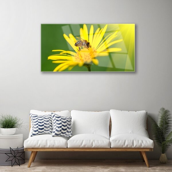 Skleneny obraz Osa kvet rastlina príroda 100x50 cm 2 Prívesky