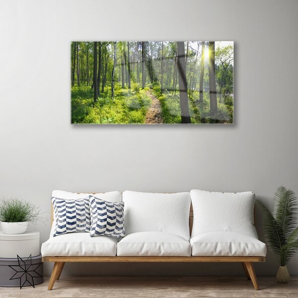 Skleneny obraz Les chodník cestička príroda 100x50 cm 2 Prívesky