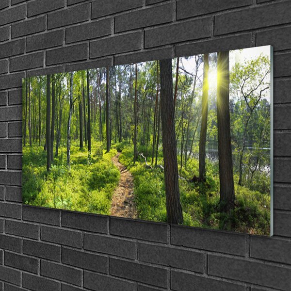 Skleneny obraz Les chodník cestička príroda 100x50 cm 2 Prívesky