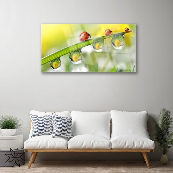 Skleneny obraz List lienky príroda 100x50 cm 2 Prívesky