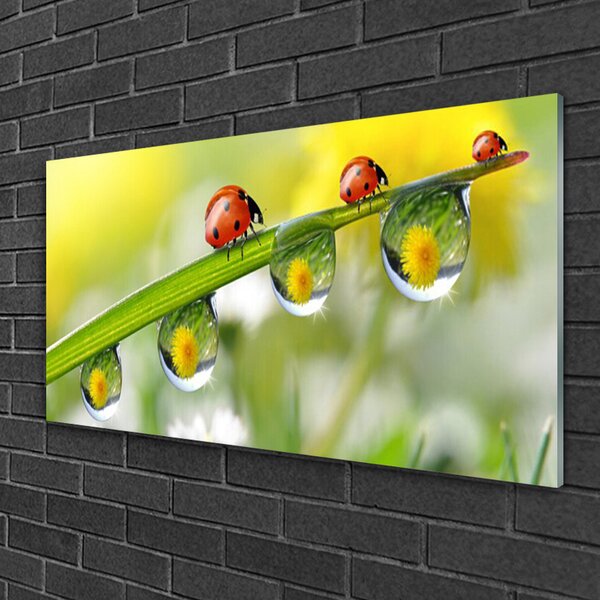 Skleneny obraz List lienky príroda 100x50 cm 2 Prívesky