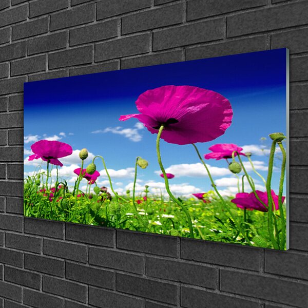 Skleneny obraz Lúka kvety nebo príroda 100x50 cm 2 Prívesky