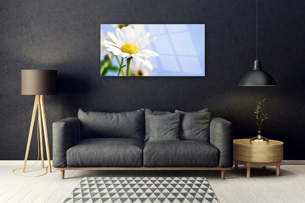 Skleneny obraz Sedmokráska rastlina príroda 100x50 cm 2 Prívesky