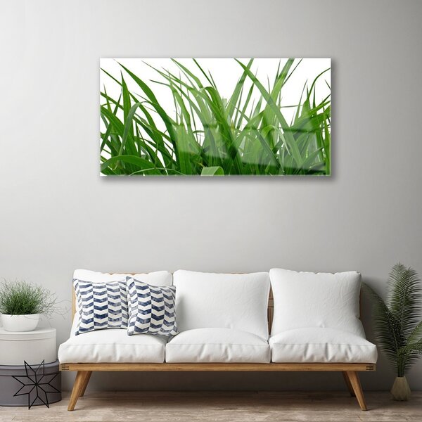 Skleneny obraz Tráva rastlina príroda 100x50 cm 2 Prívesky