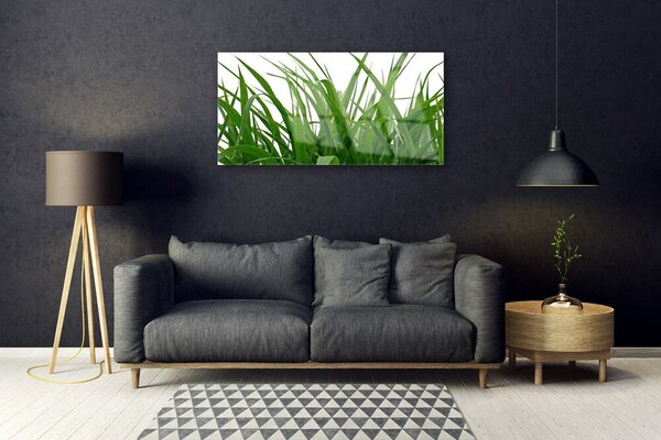 Skleneny obraz Tráva rastlina príroda 100x50 cm 2 Prívesky