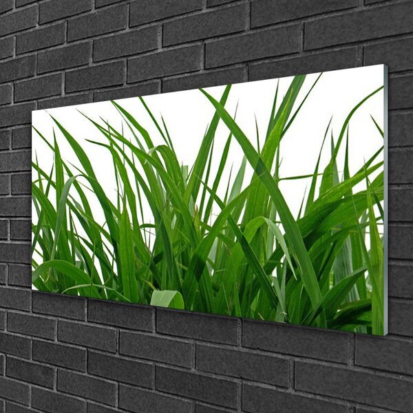 Skleneny obraz Tráva rastlina príroda 100x50 cm 2 Prívesky