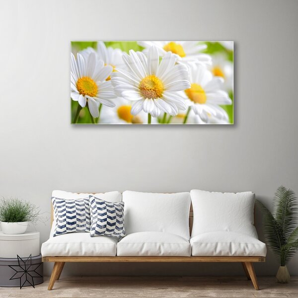 Skleneny obraz Sedmokrásky rastlina príroda 100x50 cm 2 Prívesky