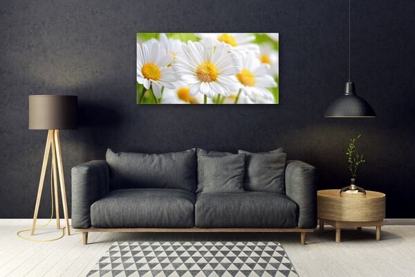 Skleneny obraz Sedmokrásky rastlina príroda 100x50 cm 2 Prívesky