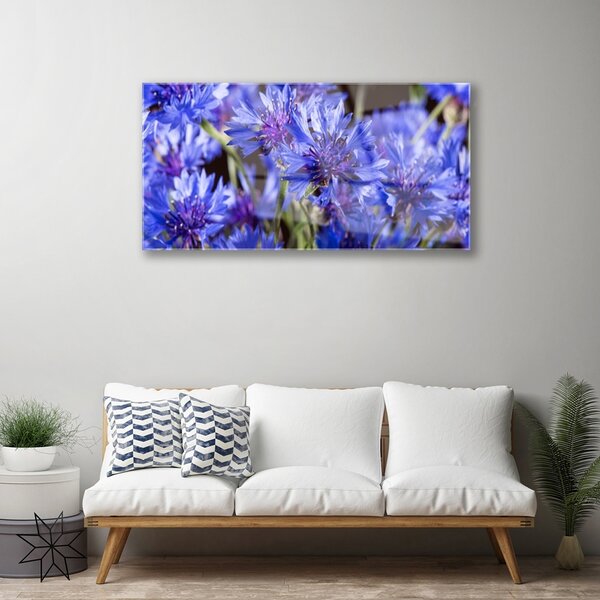 Skleneny obraz Kvety rastlina príroda 100x50 cm 2 Prívesky