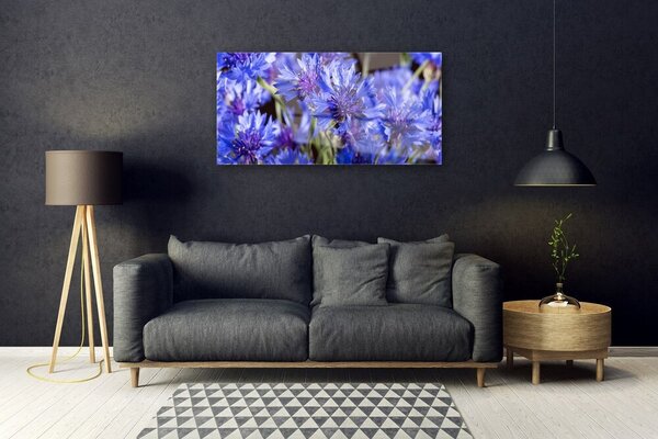 Skleneny obraz Kvety rastlina príroda 100x50 cm 2 Prívesky