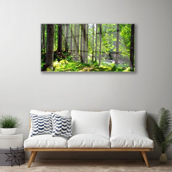 Skleneny obraz Les stromy rastlina príroda 100x50 cm 2 Prívesky