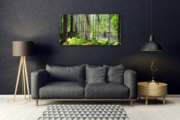 Skleneny obraz Les stromy rastlina príroda 100x50 cm 2 Prívesky
