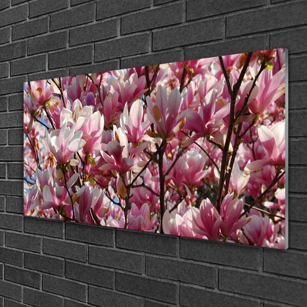 Skleneny obraz Vetvy kvety rastlina 100x50 cm 2 Prívesky