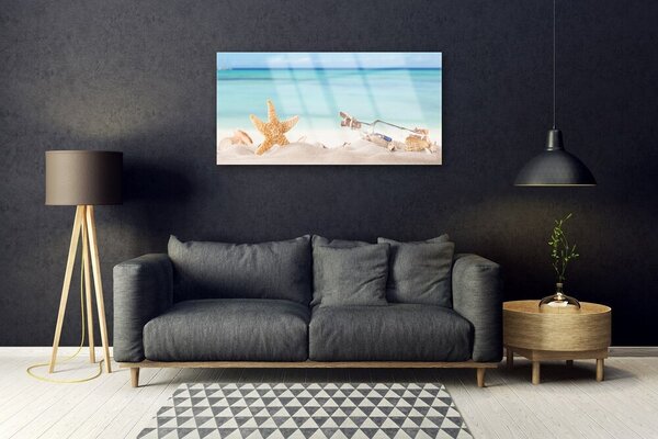Skleneny obraz Hviezdice mušle pláž 100x50 cm 2 Prívesky
