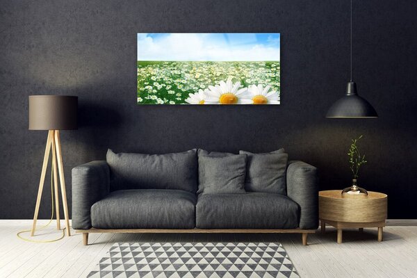 Skleneny obraz Sedmokrásky kvety lúka pole 100x50 cm 2 Prívesky