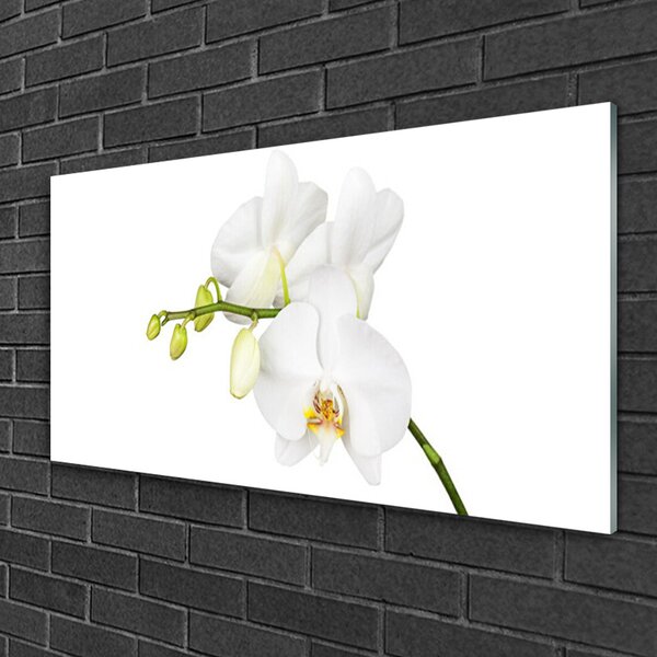 Skleneny obraz Orchidea kvety príroda 100x50 cm 2 Prívesky
