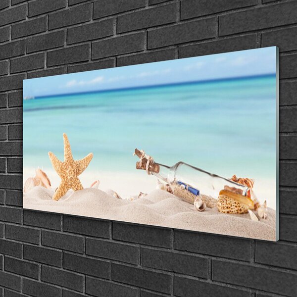Skleneny obraz Hviezdice mušle pláž 100x50 cm 2 Prívesky