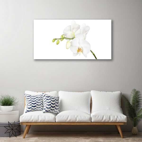 Skleneny obraz Orchidea kvety príroda 100x50 cm 2 Prívesky