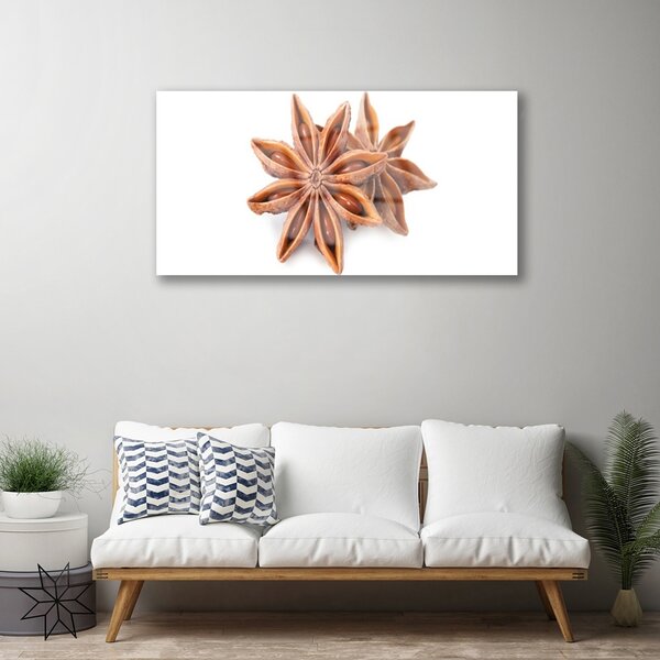 Skleneny obraz Aníz hviezda príprava 100x50 cm 2 Prívesky