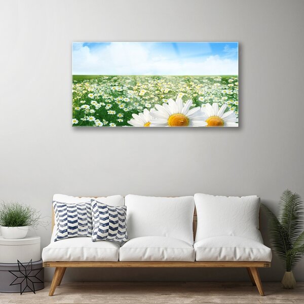 Skleneny obraz Sedmokrásky kvety lúka pole 100x50 cm 2 Prívesky