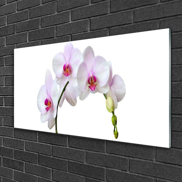 Skleneny obraz Vstavač orchidea kvety 100x50 cm 2 Prívesky