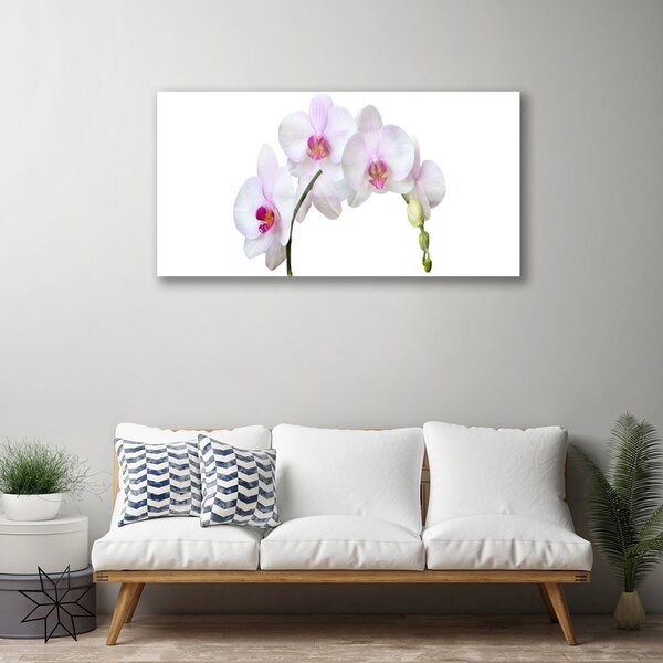 Skleneny obraz Vstavač orchidea kvety 100x50 cm 2 Prívesky