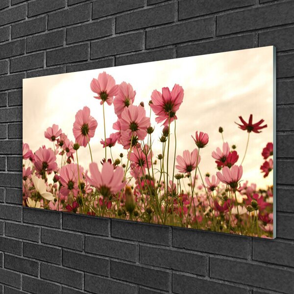 Skleneny obraz Poľné kvety lúka príroda 100x50 cm 2 Prívesky