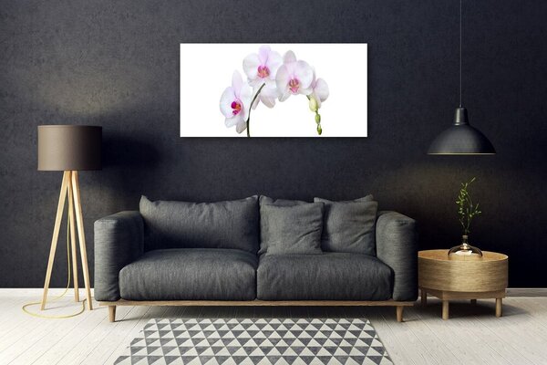 Skleneny obraz Vstavač orchidea kvety 100x50 cm 2 Prívesky