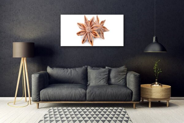Skleneny obraz Aníz hviezda príprava 100x50 cm 2 Prívesky