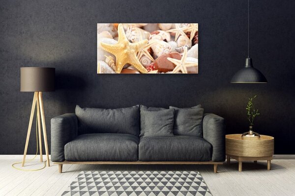 Skleneny obraz Hviezdice mušle pláž 100x50 cm 2 Prívesky