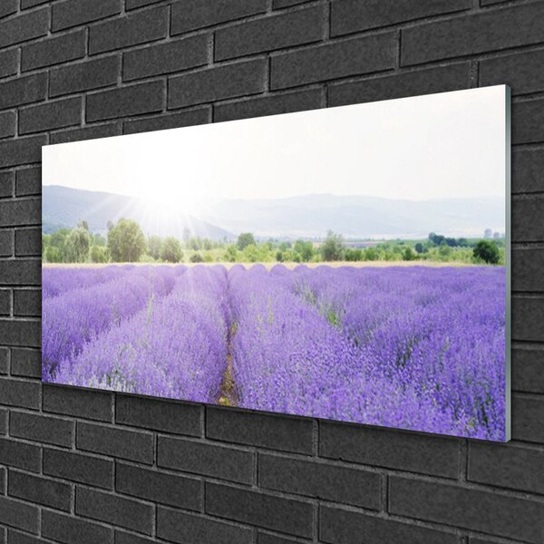 Skleneny obraz Pole levanduľa príroda lúka 100x50 cm 2 Prívesky