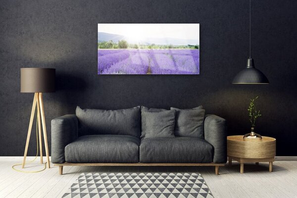 Skleneny obraz Pole levanduľa príroda lúka 100x50 cm 2 Prívesky