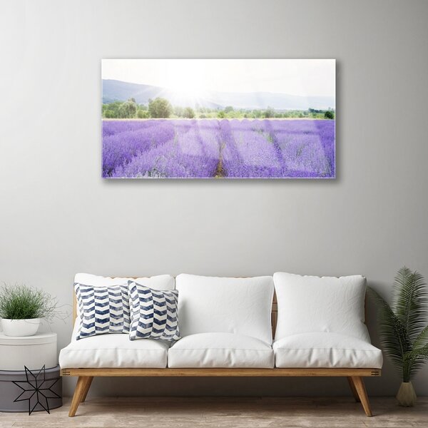 Skleneny obraz Pole levanduľa príroda lúka 100x50 cm 2 Prívesky
