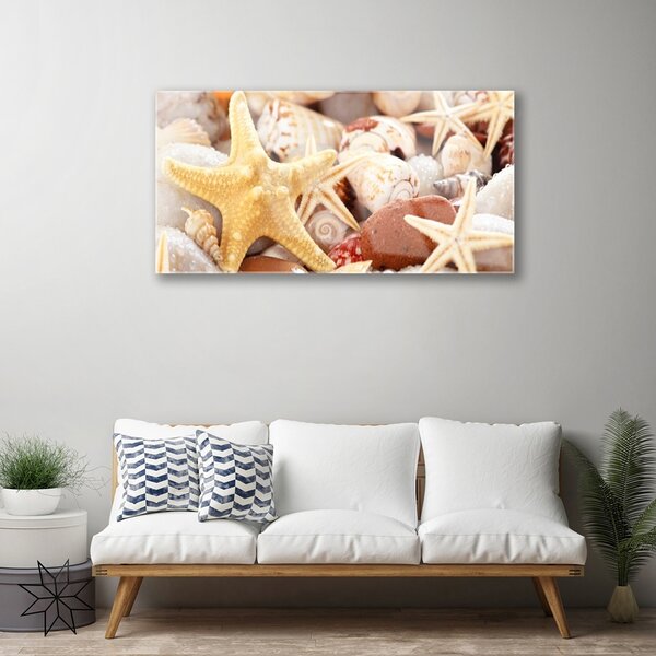 Skleneny obraz Hviezdice mušle pláž 100x50 cm 2 Prívesky