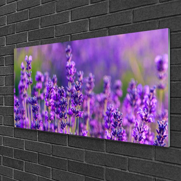 Skleneny obraz Pole fialová levanduľa 100x50 cm 2 Prívesky