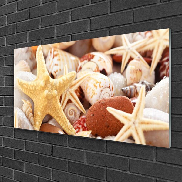 Skleneny obraz Hviezdice mušle pláž 100x50 cm 2 Prívesky