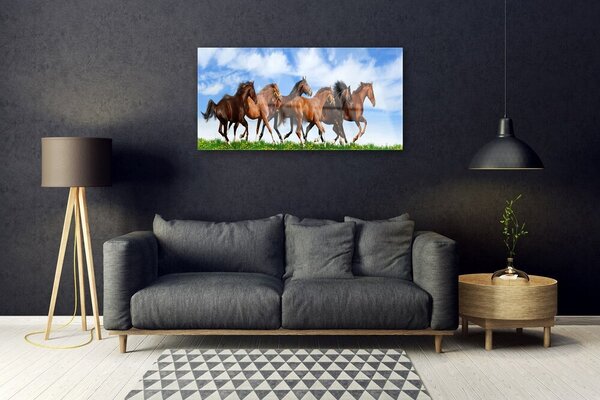 Skleneny obraz Cválajúci kone na pastvine 100x50 cm 2 Prívesky