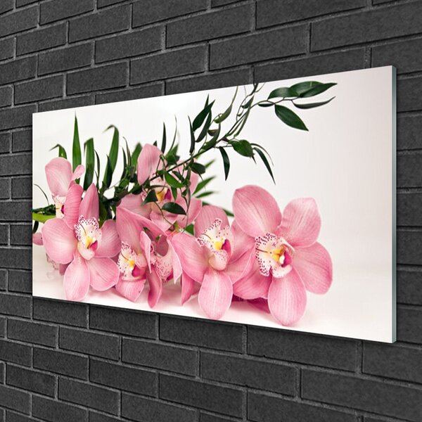 Skleneny obraz Orchidea kvety kúpele 100x50 cm 2 Prívesky